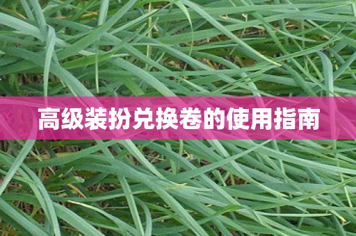 高级装扮兑换卷的使用指南图片
