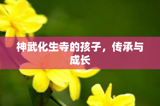 神武化生寺的孩子图片