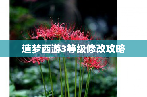 造梦西游3等级修改攻略图片