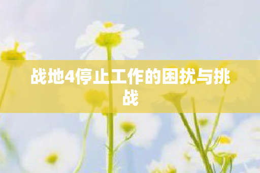 战地4停止工作的困扰与挑战图片