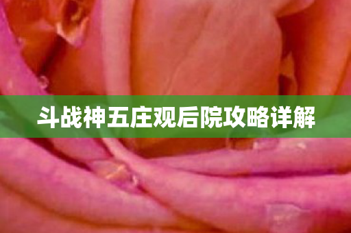 斗战神五庄观后院攻略详解图片
