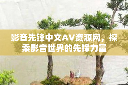 影音先锋中文AV资源网，探索影音世界的先锋力量
