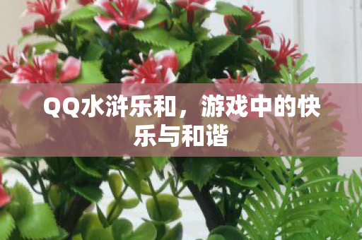 游戏中的快乐与和谐图片