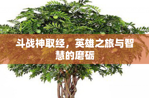 英雄之旅与智慧的磨砺图片