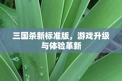 游戏升级与体验革新图片