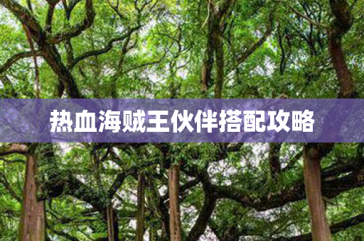 热血海贼王伙伴搭配攻略图片