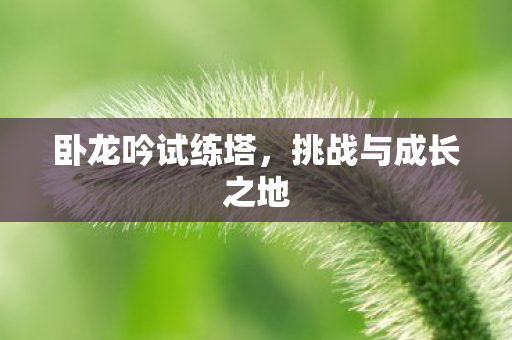挑战与成长之地图片