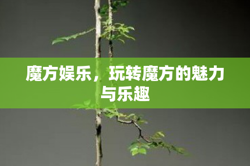 玩转魔方的魅力与乐趣图片