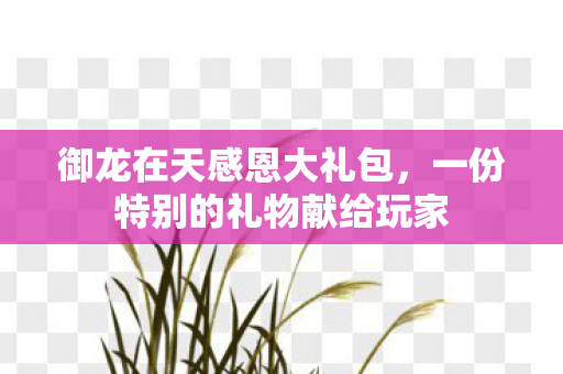 一份特别的礼物献给玩家图片