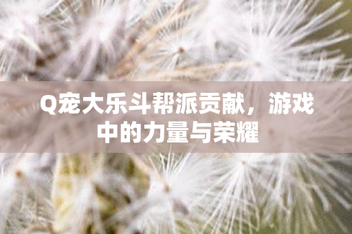 Q宠大乐斗帮派贡献图片