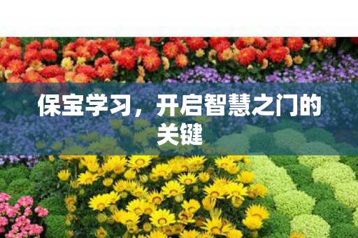 开启智慧之门的关键图片