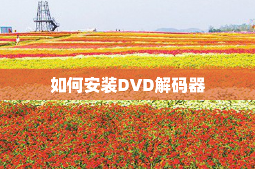 如何安装DVD解码器图片