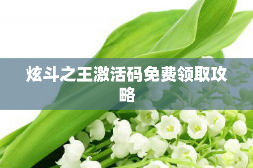 炫斗之王激活码免费领取攻略图片