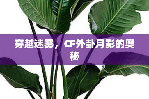 CF外卦月影的奥秘图片