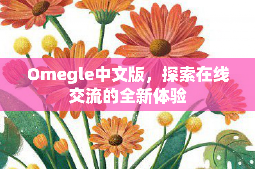 探索在线交流的全新体验图片