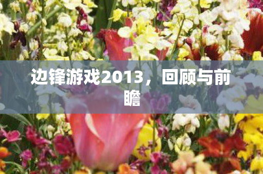 边锋游戏2013图片