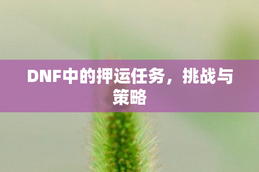 DNF中的押运任务图片