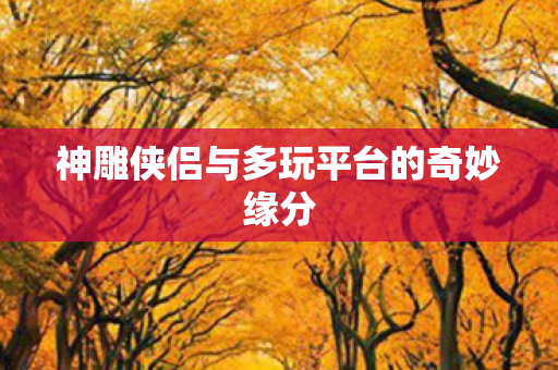 神雕侠侣与多玩平台的奇妙缘分图片