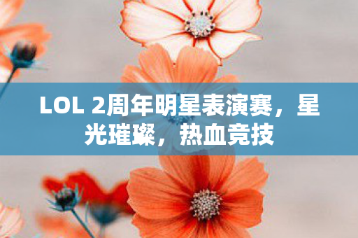 LOL 2周年明星表演赛图片