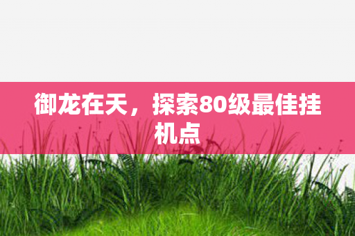 探索80级最佳挂机点图片