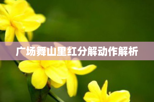 广场舞山里红分解动作解析图片