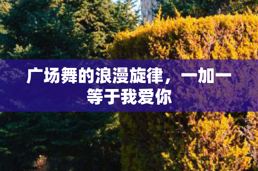 广场舞的浪漫旋律图片