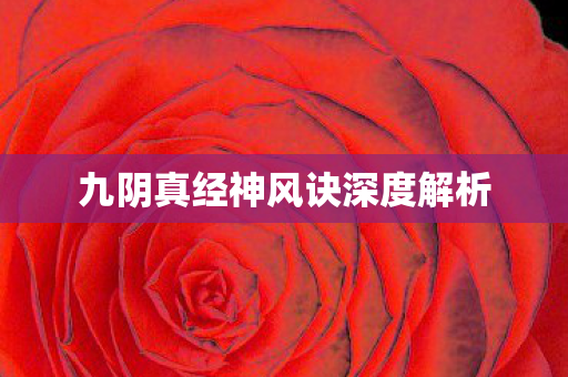 九阴真经神风诀深度解析图片
