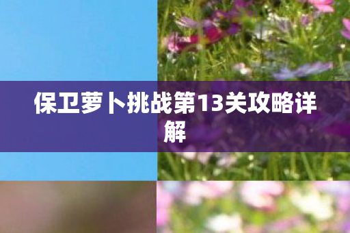 保卫萝卜挑战第13关攻略详解图片