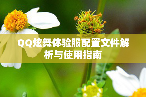 QQ炫舞体验服配置文件解析与使用指南图片