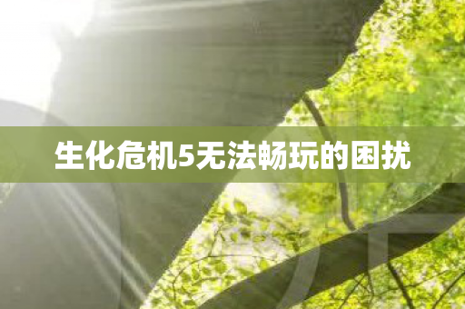 生化危机5无法畅玩的困扰图片