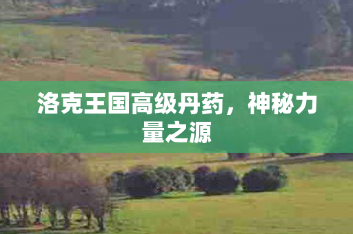 洛克王国高级丹药图片