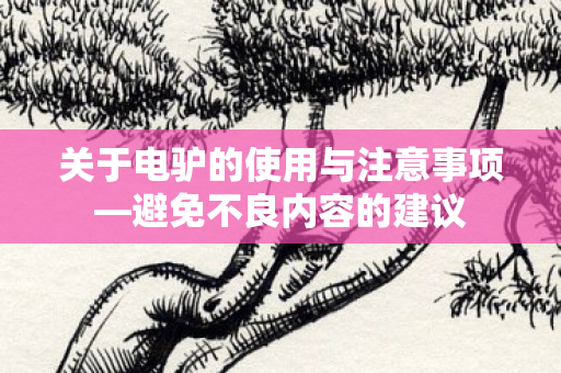关于电驴的使用与注意事项图片