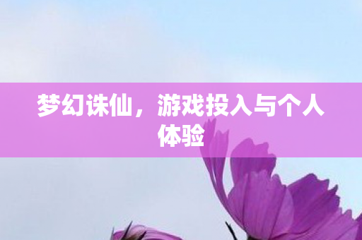 游戏投入与个人体验图片