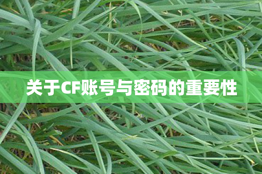 关于CF账号与密码的重要性图片