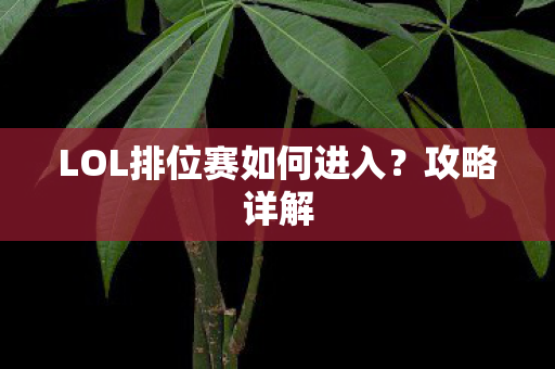 LOL排位赛如何进入图片