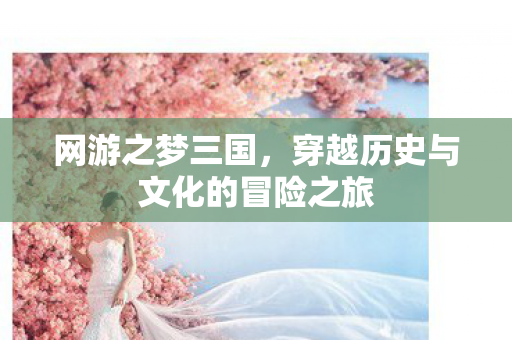 穿越历史与文化的冒险之旅图片