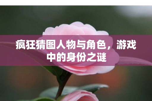 疯狂猜图人物与角色图片