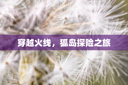狐岛探险之旅图片