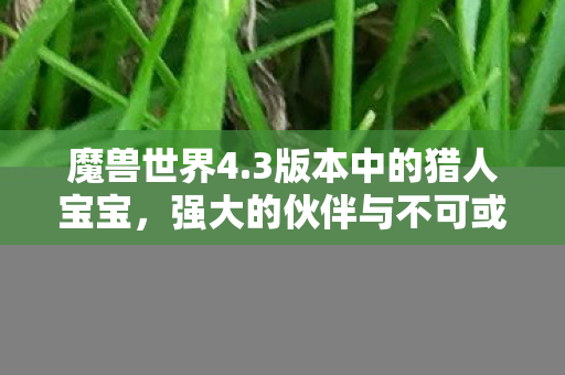 强大的伙伴与不可或缺的助手图片