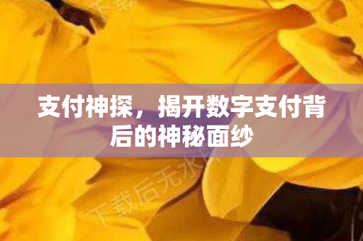 揭开数字支付背后的神秘面纱图片