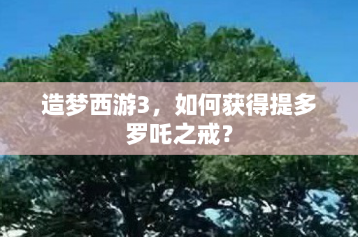 如何获得提多罗吒之戒图片