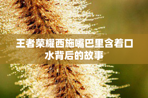 王者荣耀西施嘴巴里含着口水背后的故事图片