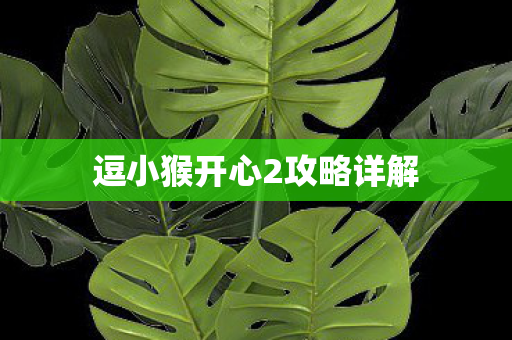 逗小猴开心2攻略详解图片