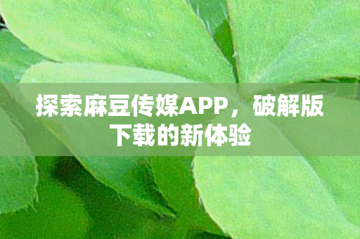 探索麻豆传媒APP图片
