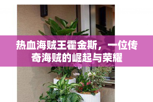 一位传奇海贼的崛起与荣耀图片