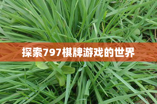 探索797棋牌游戏的世界图片