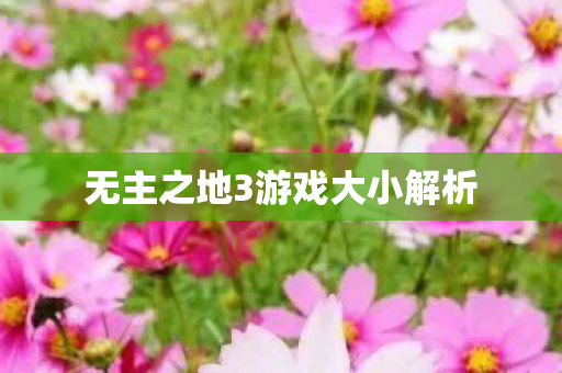 无主之地3游戏大小解析图片