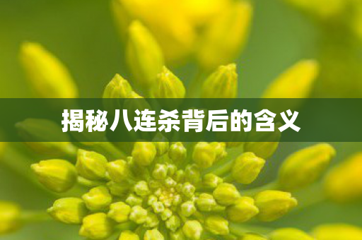 揭秘八连杀背后的含义图片