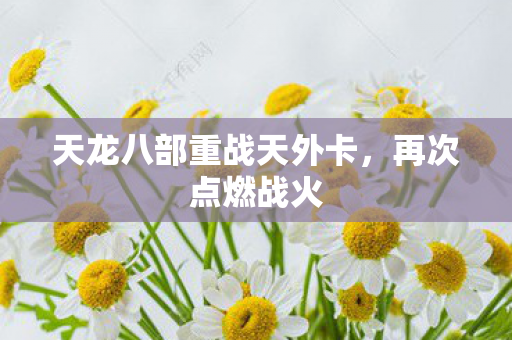 天龙八部重战天外卡图片