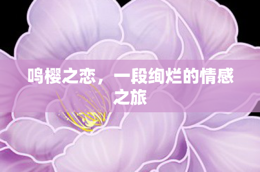一段绚烂的情感之旅图片